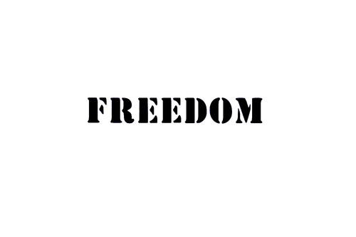 Freedom car van - , ev